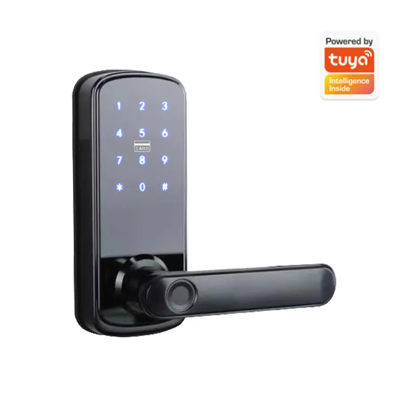 Kunci Pintu Kayu dengan Fitur  - Smart Door Lock Wifi ulasan dan harga